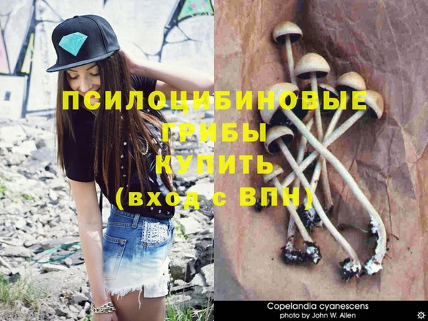 мет Сафоново